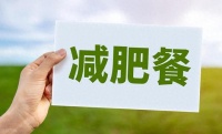 公认降低体脂率的 5 个行为