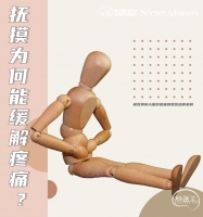 Science子刊丨抚摸为何能缓解疼痛？新加入MIT的王帆团队揭示触觉抑制大脑对疼痛刺激反应的机制