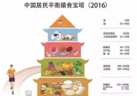北京封闭式减肥训练营不反弹的秘诀！