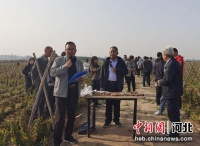 河北安国举办山药产业高质量发展现场观摩研讨会