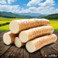 山药都有什么品种