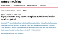 世界首例！中国团队将基因编辑猪肺成功移植人体