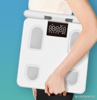 云康宝电子秤好不好用？推荐六款高性价比热门型号解析！