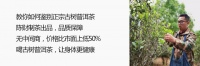 湖南安化黑茶的功效與禁忌