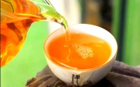 涇陽茯茶的多元功效與現(xiàn)代生活應(yīng)用