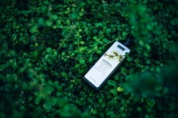 最健康環(huán)保的茶葉品牌—綠色發(fā)展的典范