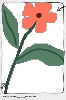 体重管理指南：健康生活的新起点