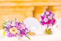 女性最佳结婚年龄：健康与生活的平衡