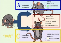 过午不食，很可能是健康、长寿之道