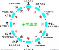 中医为什么提出过午不食？