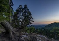 养成良好健身习惯，健康生活每一天