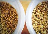 咖啡豆挑选与烘焙：从生豆到成品的全流程解析