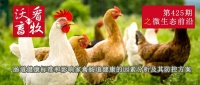 腸道健康標(biāo)準(zhǔn)和影響家禽腸道健康的因素分析及其防控方案