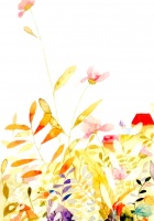 生活技巧与健康小贴士：提升生活质量的妙招