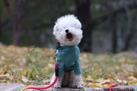 一个健康的生活计划