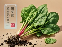 高溫天氣霉菌過(guò)敏者還能運(yùn)動(dòng)嗎
