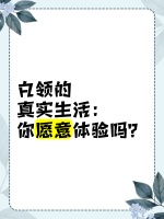 白领的真实生活：你愿意体验吗