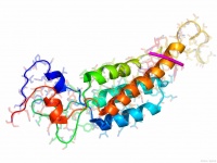 健康生活：攝入足夠蛋白質(zhì)與肌肉健康