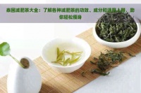 泰國減肥茶大全：了解各種減肥茶的功效、成分和適用人群，助你輕松瘦身