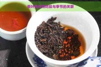 茶叶的饮用时段与季节的关联