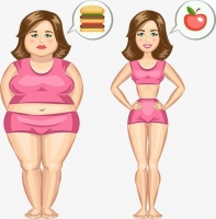 減肥主食秘籍：8款瘦身首選，玉米第6強(qiáng)，榜首必嘗健康美味！