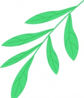 网络时代的审美危机与健康守护——从夏夏的案例分析
