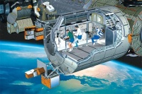 太空性行為研究：NASA帶你揭開神秘面紗