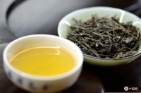 茶葉所含多酚類也能幫助腸道好菌生長