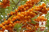 沙棘西梅果汁