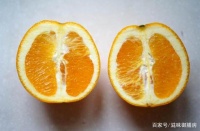 橙子果凍的簡單做法，一整個(gè)夏季的福音