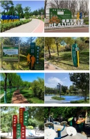 【體重管理年】這個夏天，快來家門口的健康主題公園打卡吧！