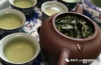 喝鐵觀音到底能不能減肥？