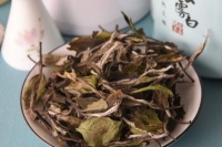 白茶的四大危害，白茶副作用太大了