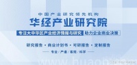《2024年中国心理咨询行业市场研究报告》