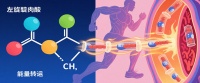 運動人群的「能量轉運者」，科學使用指南
