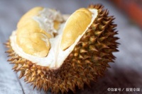 榴莲这么便宜是假的？如何区分真假榴莲？