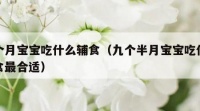 九个月宝宝吃什么辅食（九个半月宝宝吃什么辅食最合适）