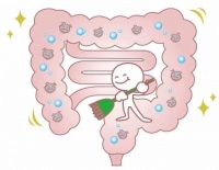 重塑腸道微生態(tài)：益生菌如何對抗腸道菌群失調(diào)｜賢醫(yī)健康說