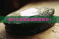 喝什么茶降脂減肥最有效？