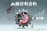 破解碳水“冤案”：糖尿病饮食的真相与科学方案