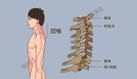 一套动作保护颈椎健康