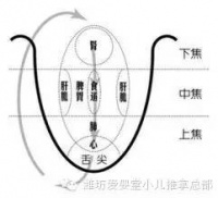 三焦辯證全解
