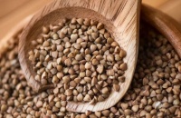 全民健康生活方式丨糖友爱吃的荞麦面 你真的吃对了吗？