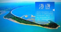 山茶油的珍貴與健康：從產(chǎn)地優(yōu)勢到營養(yǎng)益處