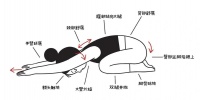 瑜伽瘦腿秘籍：塑造完美腿部線條