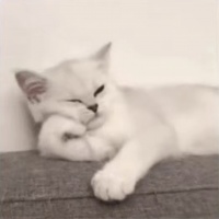 血脂异常基层健康管理规范，强调生活方式全面干预！