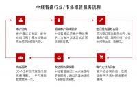 中國(guó)奧利司他膠囊市場(chǎng)調(diào)查研究報(bào)告