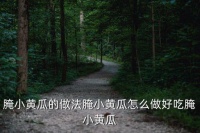 腌小黃瓜，腌小黃瓜的做法腌小黃瓜怎么做好吃腌小黃瓜