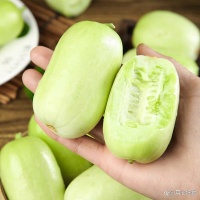 什么品牌黃瓜比較專業(yè)，優(yōu)質(zhì)選擇與特色盤點(diǎn)