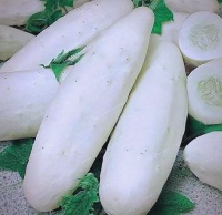 探索多種黃瓜品種，你了解它們的獨(dú)特魅力嗎